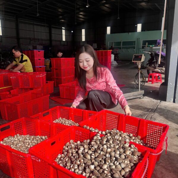 Só huyết tươi sống