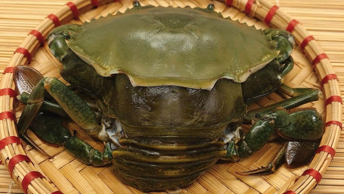 Cua cốm