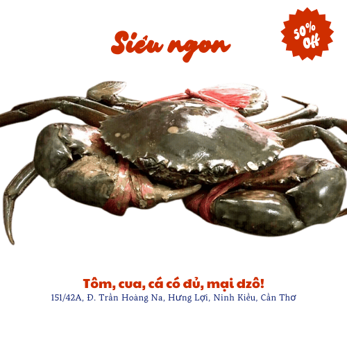 Cua zon tươi ngon