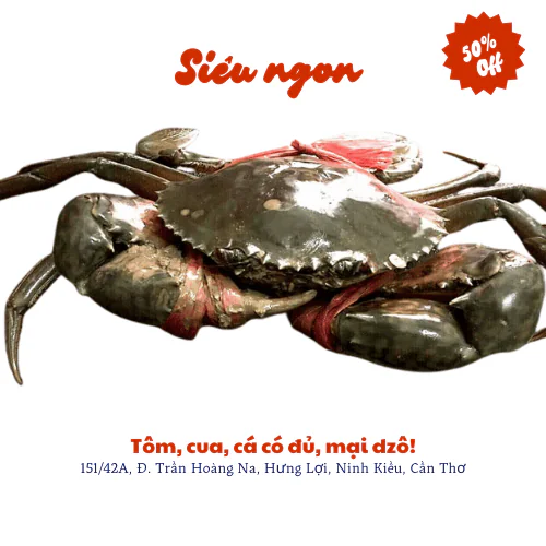 Cua zon tươi ngon