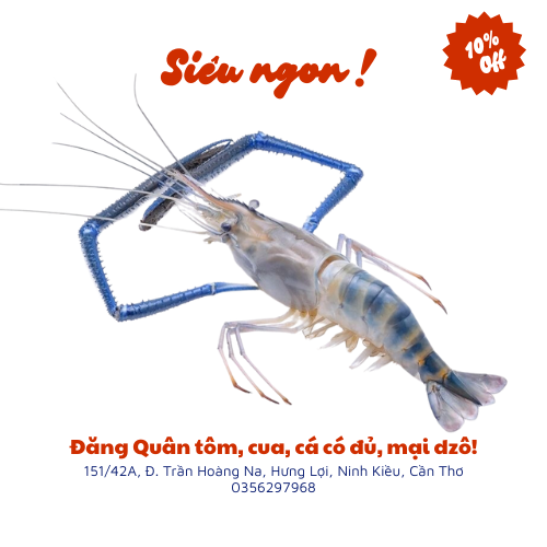 Tôm càng xanh