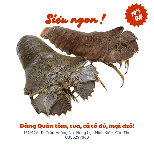 Tôm mũ ni