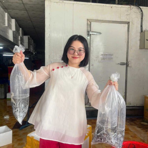 bạch tuộc Đăng Quân tươi Cần Thơ