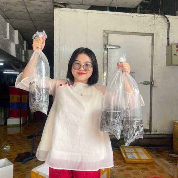 bạch tuộc Đăng Quân ngon Cần Thơ