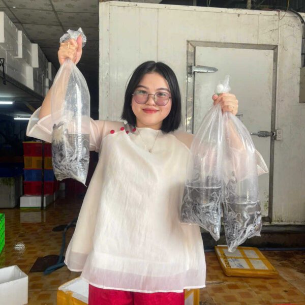 bạch tuộc Đăng Quân ngon Cần Thơ hải sản