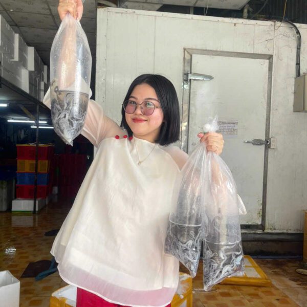 bạch tuộc Đăng Quân Cần Thơ hải sản ngon tươi