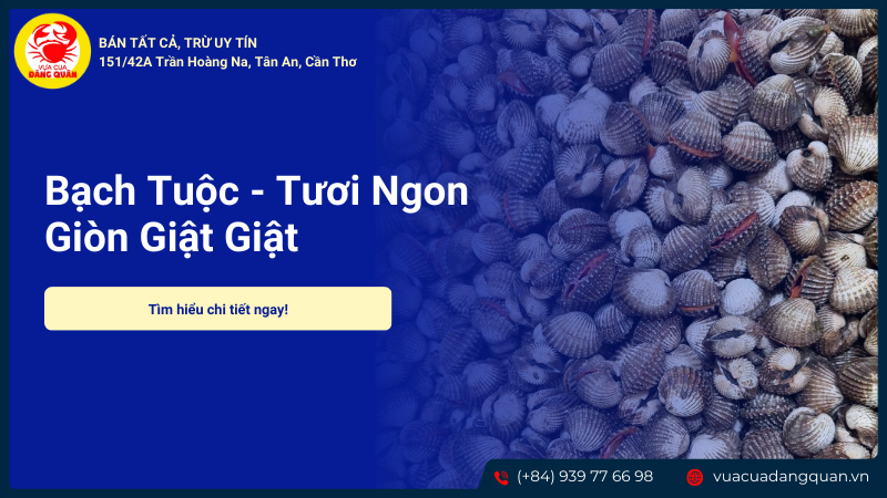 Bạch tuộc sản phẩm