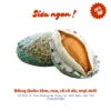 Bào ngư Úc Ngọc Bích