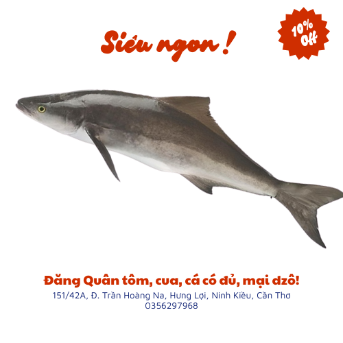 Cá bóp