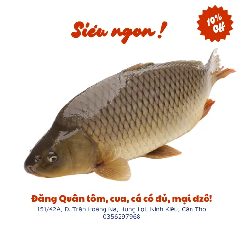 Cá chép giòn