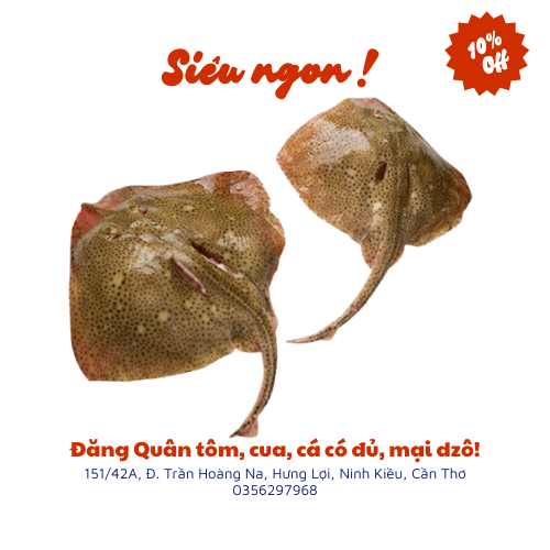 Cá đuối