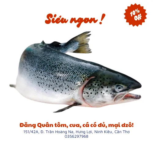 Cá hồi