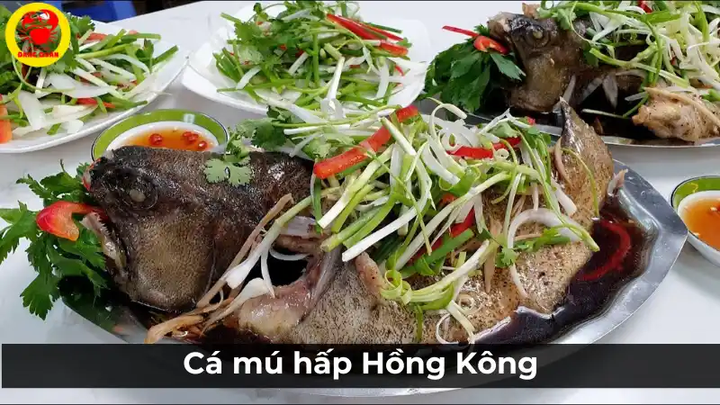 Món cá mú hấp Hồng Kông thơm ngon, đậm đà tại Vựa Cua Đăng Quân Cần Thơ.