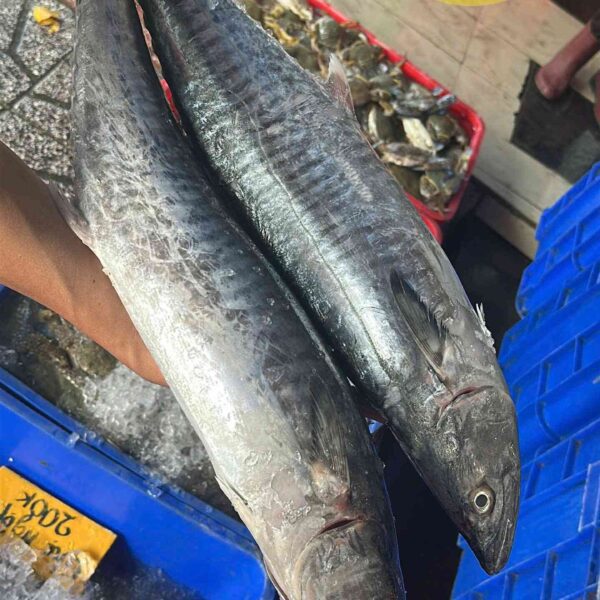 Cá thu làm món gì ngon