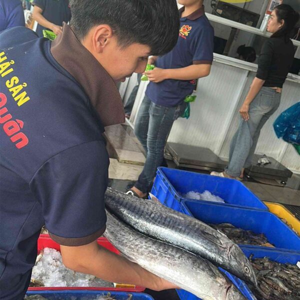Cá thu bao nhiêu 1kg