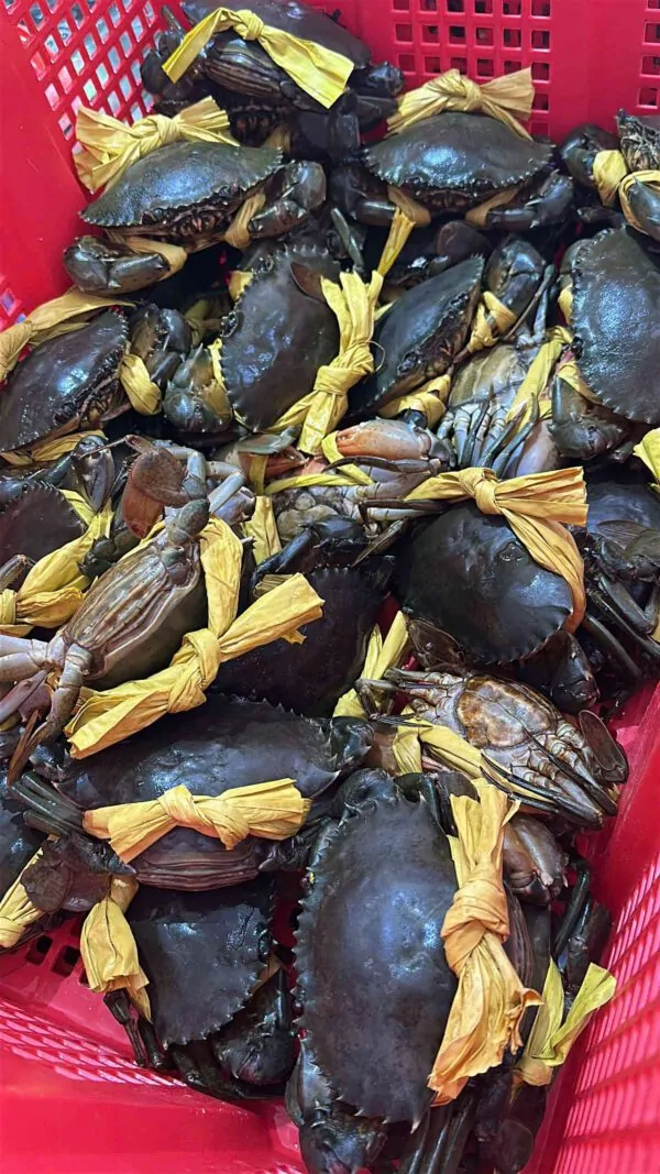 Cua gạch