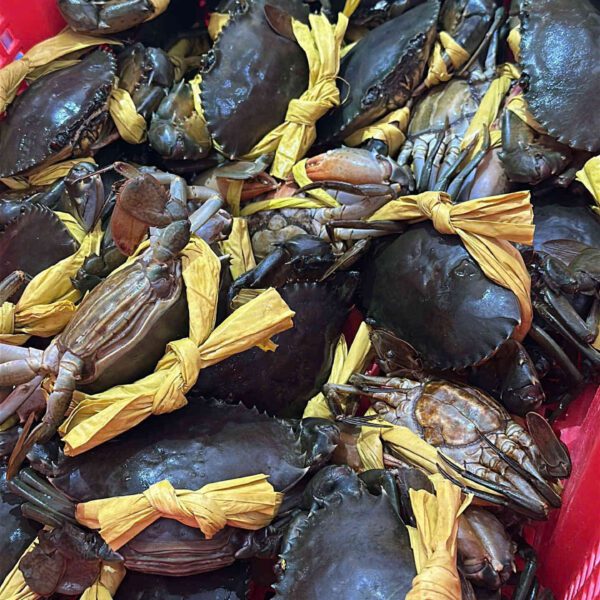 Cua gạch