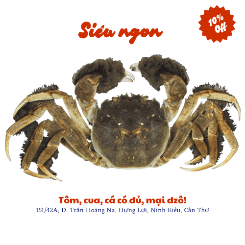 Cua lông