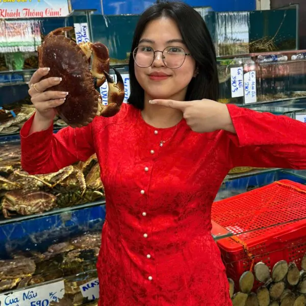 Cua nâu tươi sống