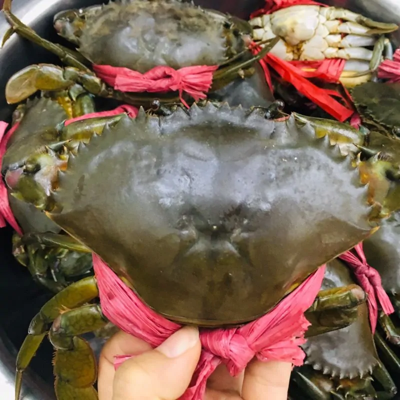 Cua thịt