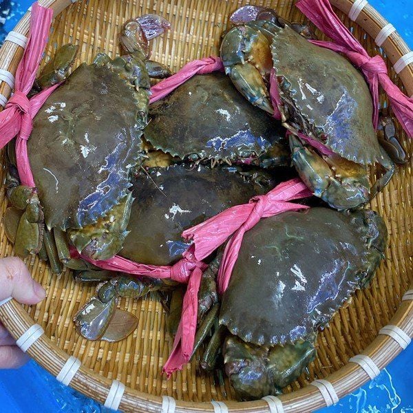 Cua thịt Cua thịt