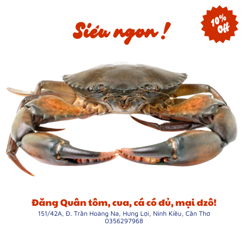 Cua thịt