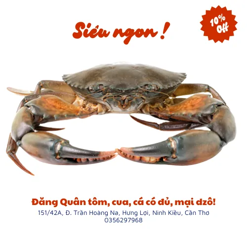 Cua thịt