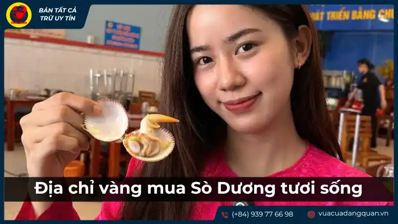 Địa chỉ mua sò dương tươi sống