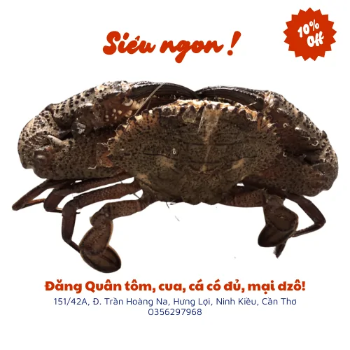 Ghẹ đá