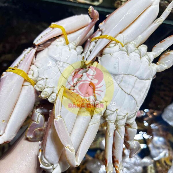 Ghẹ đỏ cồ hải sản Đăng Quân