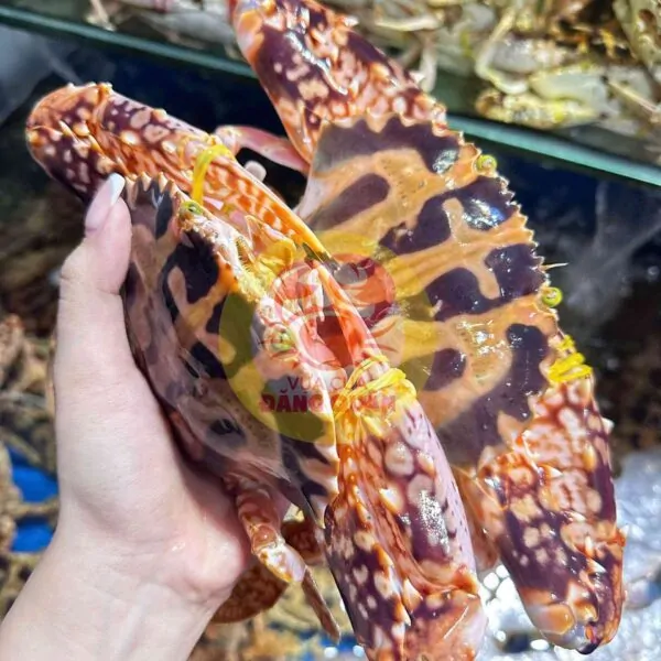 Cách chế biến ghẹ đỏ cồ tại nhà
