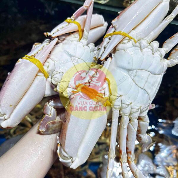 Ghẹ đỏ cồ làm gì ngon