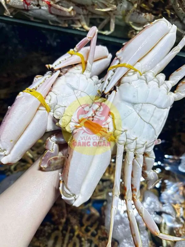 Ghẹ đỏ cồ làm gì ngon