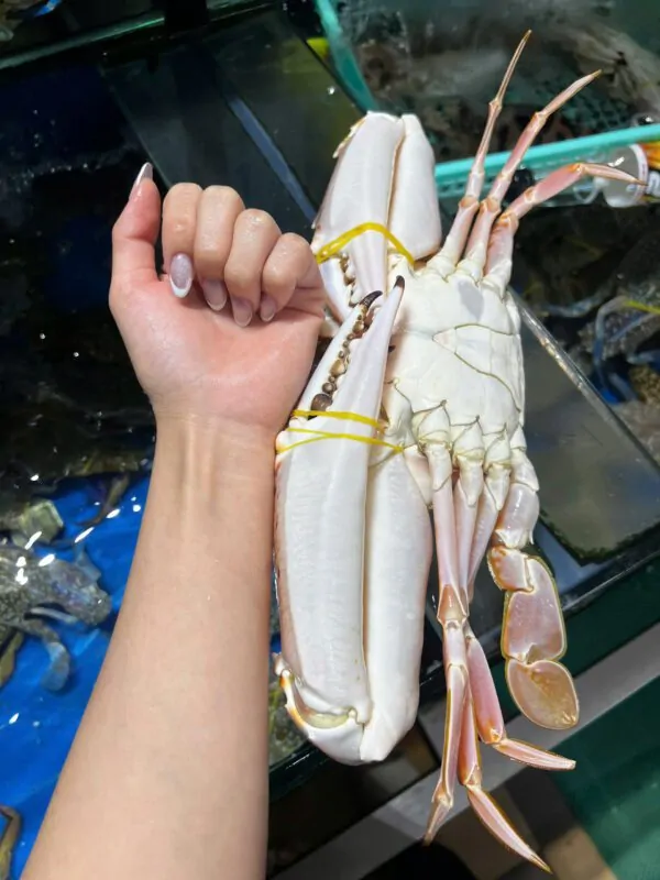 Ghẹ đỏ size to Đăng Quân