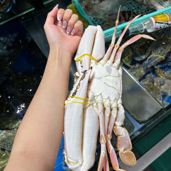 Ghẹ đỏ size to Đăng Quân Cần Thơ