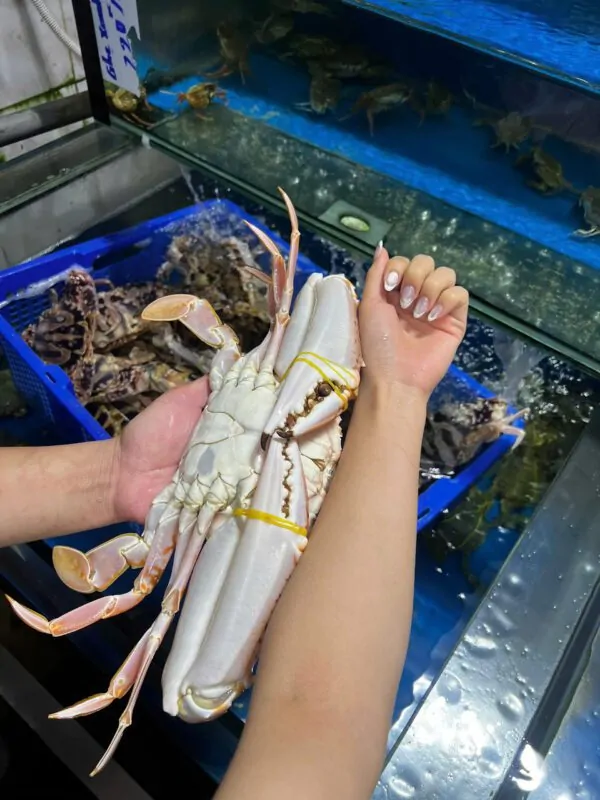 Ghẹ đỏ cỡ đại Đăng Quân Cần Thơ tươi