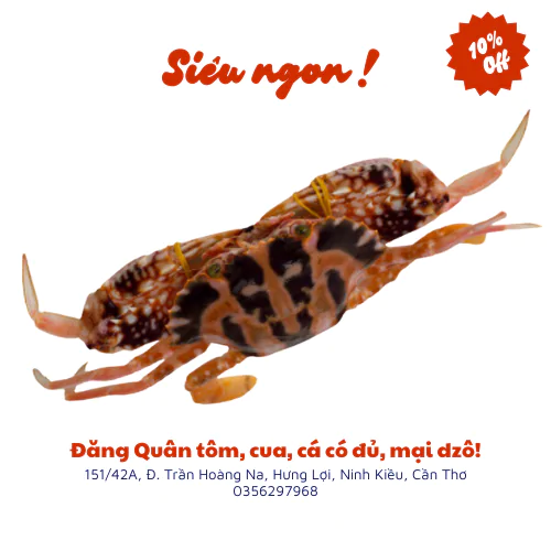 Ghẹ đỏ