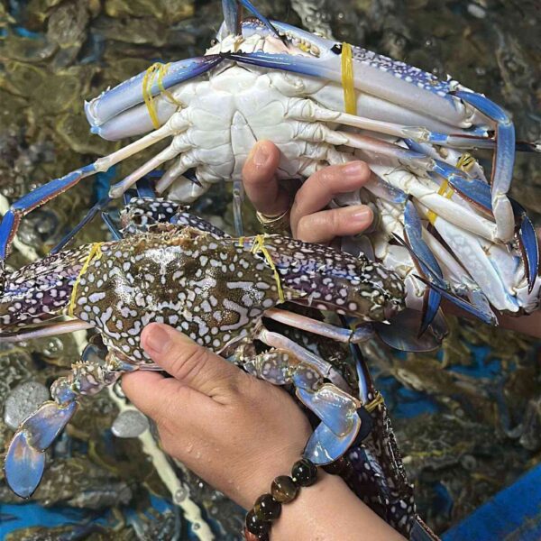 Cách chế biến ghẹ xanh