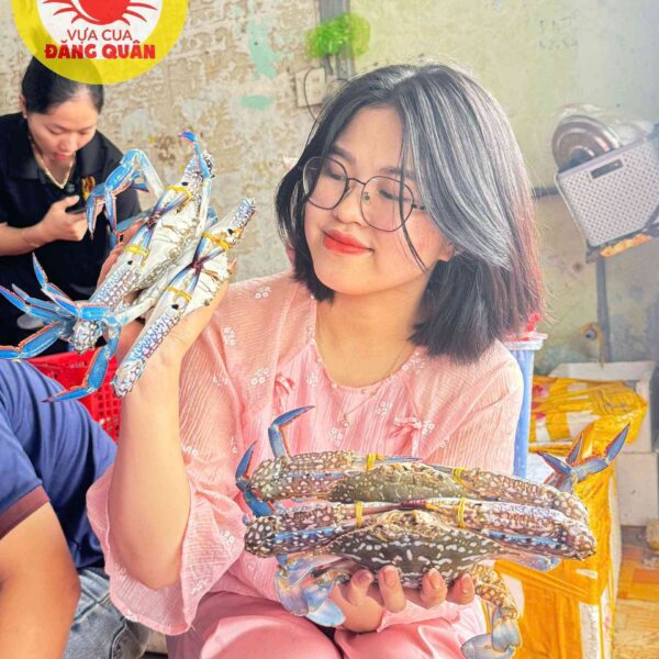 Ghẹ xanh sống size to