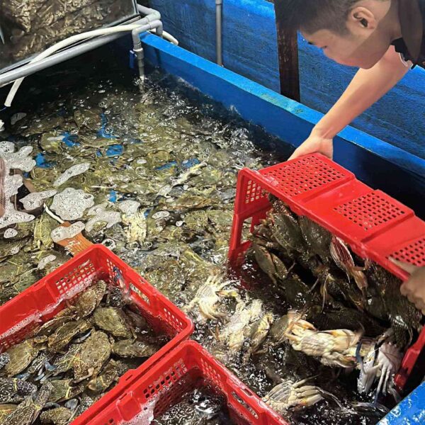 Ghẹ xanh – vị biển đậm đà