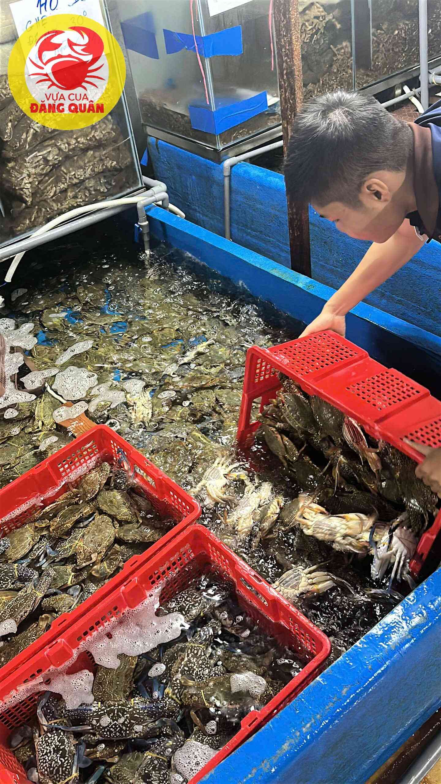 Ghẹ xanh – vị biển đậm đà