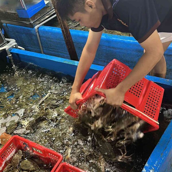 Ghẹ xanh tươi rói mỗi ngày