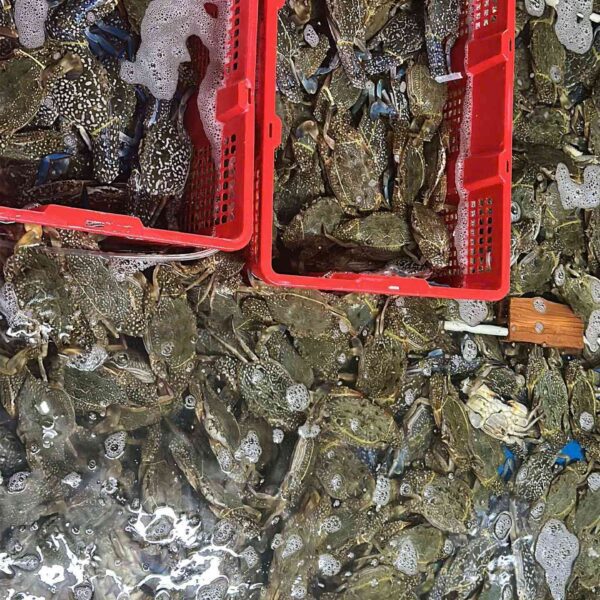 Ghẹ xanh giàu dinh dưỡng