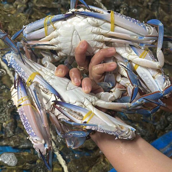 Ghẹ xanh làm món gì ngon