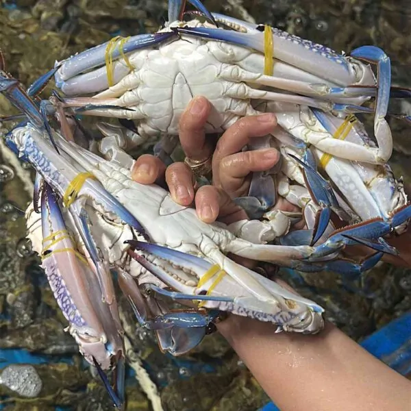 Ghẹ xanh làm món gì ngon