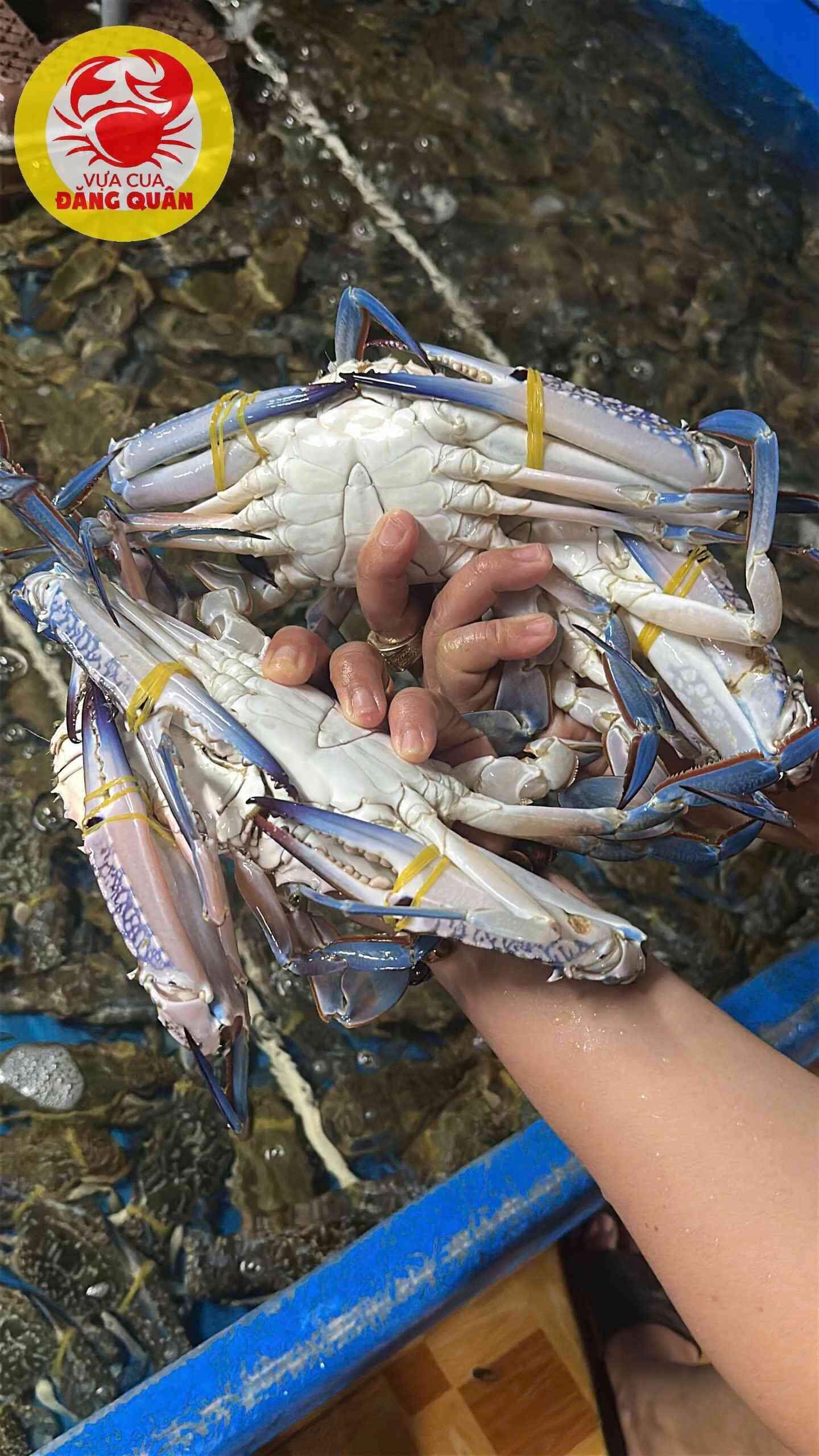 Ghẹ xanh làm món gì ngon