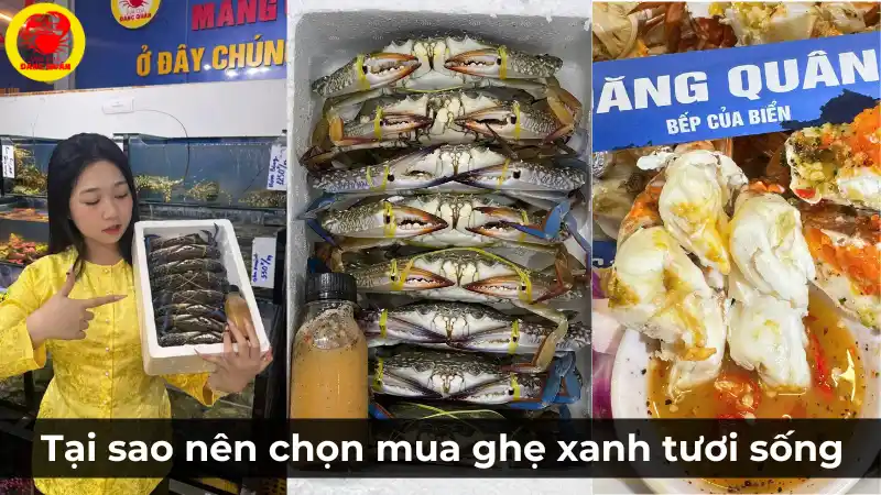 Ghẹ xanh tươi sống tại Vựa Cua Đăng Quân và nhân viên tư vấn cho khách hàng.