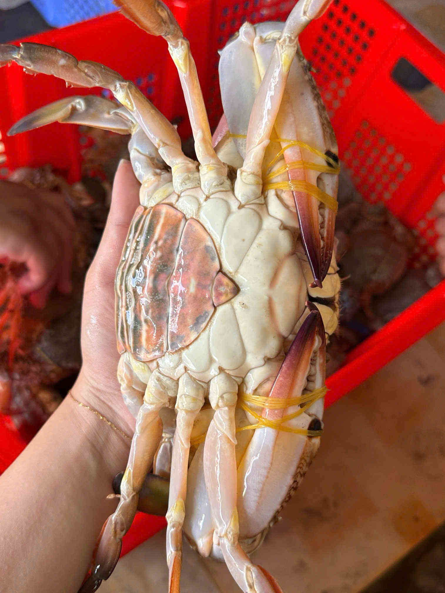 Ghẹ xanh hải sản