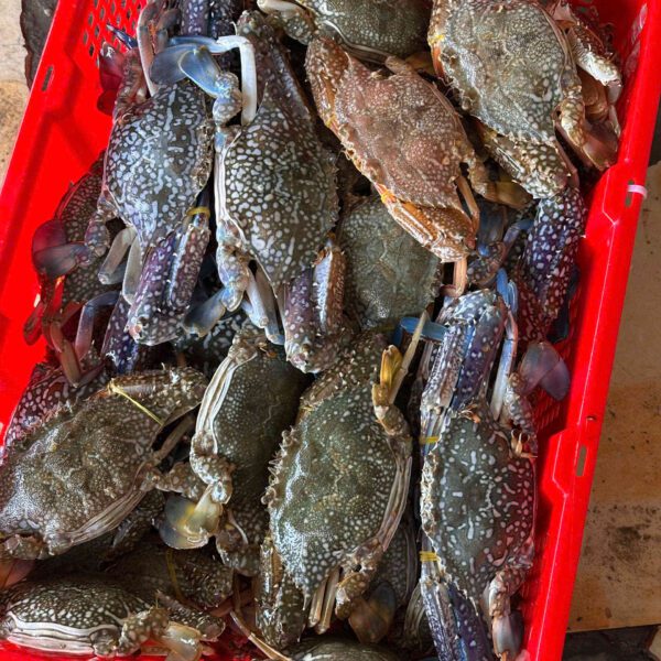 Ghẹ xanh hải sản Đăng Quân