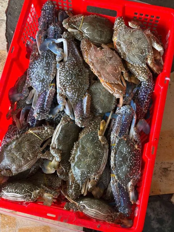 Ghẹ xanh hải sản Đăng Quân
